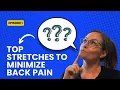Easy At-Home Stretches for Lower Back Pain Sciatica Dr Frank Lombardozzi VA Chiro Experts