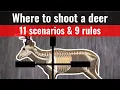 where to shoot a deer - 11 shot placement charts where to aim