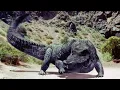 Mega python vs gatoroid 2011 mutated alligators Screen Time