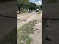 Man in thong shooting vehicles shot down by HPD