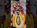 Download Lagu Joy Maa Tara Sundari ।🌺🙏। Amar kache Tumi Mane sat Raja dhaan Amar kache Tumi Mane Amulya Ratan#maa
