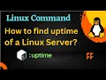 Unlocking uptime Become a Linux Pro Part-21 Master the Command Line