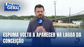 Lagoa da Conceição registra espuma novamente e equipes fazem limpeza