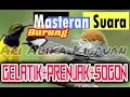 Download Lagu masteran gelatik prenjak sogon