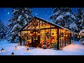 Evergreen Christmas Vibes | Cozy Jazz Instrumentals
