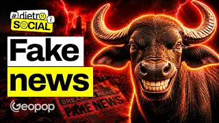L’era delle notizie false: perché i social le amplificano