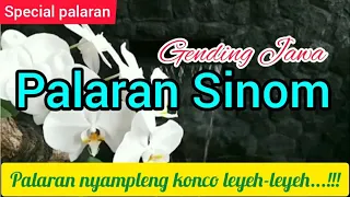 Download GENDING JAWA PALARAN SINOM...!!! MP3