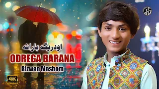 pashto songs 2026 oderga barana zama tola gila sta na da rizwan mashom newpashto song full 4k