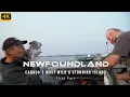 Lagu Newfoundland: Canadas Most Wild \u0026 Stunning Island - First Part *  Discover Canada series