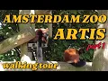 Download Lagu 🇳🇱 ARTIS ZOO AMSTERDAM - WANDELTOCHT | 4K UHD | deel 1
