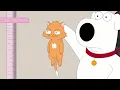 Family Guy - Elle Hitler s cat