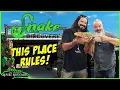 WHY MY HOME IS THE PERFECT PLACE FOR REPTILES GreenRoomPythons comes to Minnesota