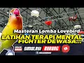 Download Lagu HANYA 10 DETIK LB LANGSUNG IKUTAN GACOR | Simulasi Lomba Lovebird Betina FIGHTER 2022