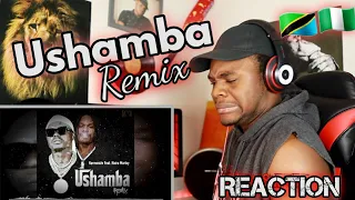 harmonize ft naira marley ushamba remix official audio reaction