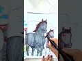 Horse Life Coloring Pages