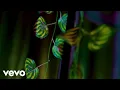 Skanm - Ekelebe