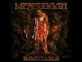 Download Lagu Meshuggah - God He Sees In Mirrors (Lyrics)
