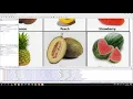 Image Mapping in X HTML Image Mapping in HTML How to Map image in HTML