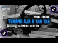 Download Lagu DJ TENANG AJA X TAN TAE (Slowed + Reverb)🎧