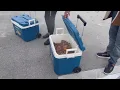 Local man spreads Christmas cheer at Carteret County prison