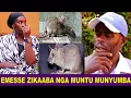 MUNYAMBE EMESSE ZINEMESEZA OBULAMU ZIKAABA NGOMUNTU MUNYUMBA TETUKYEBAKA KIIWA ALAJANA