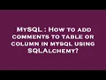 MySQL How to add comments to table or column in mysql using SQLAlchemy