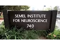 The Semel Institute for Neuroscience and Human Behavior at UCLA