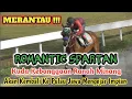 Lagu Merantau!!!Kuda Kebanggaan Ranah Minang, ROMANTIC SPARTAN Akan Kembali Ke Pulau Jawa Mengejar Impian