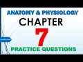 Anatomy Physiology Chapter 7 Practice Questions