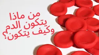 من ماذا يتكون الدم البشرى وكيف يتكون 