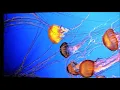 Download Lagu JEAN MICHEL JARRE  -  WAITING FOR COUSTEAU