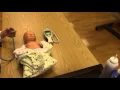 Newborn Nursery Counting Respirations