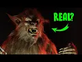 Werewolf Transformation In Real Life - Midnight Studios FX Lucian Costume
