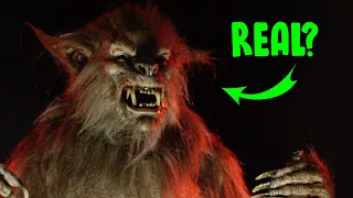 Werewolf Transformation In Real Life - Midnight Studios FX Lucian Costume