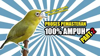 Download PROSES PEMASTERAN PLECI 100% AMPUH PART 2 MP3