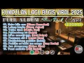 Download Lagu Kumpulan Lagu Bugis Viral 2025: Naire Billa Awo Terpopuler‼️
