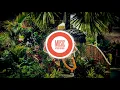 Download Lagu 🎵 Sufi Reggae de  Yogismusic 🎧 No Copyright Music 🎶