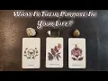 Download Lagu 🕯🌿 What Is Their PURPOSE In Your Life? 🌿🕯 Pick A Card Love Reading