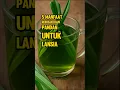 5 Manfaat Rebusan Daun Pandan Untuk Lansia