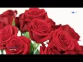 Download Lagu GIOVANNI MARRADI - Just For You