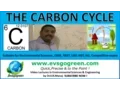 The Carbon Cycle made easy