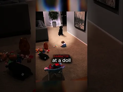 His Dog Knew Something Was Wrong With This Doll…