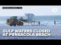 Wind is pretty intense Bertha triggers double red flags at Pensacola Beach