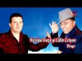 Nicolae Guta \u0026 Calin Crisan - Bingo