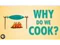 Why Do We Cook