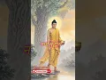 Download Lagu जीवन का पहला रहस्य है साहसिक #buddha#bhaktistatus#buddhistphilosophy#buddhistquotes#buddhateachings