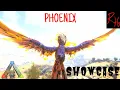 Everything you NEED to know - THE PHOENIX