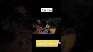 جديه ام قنفه 