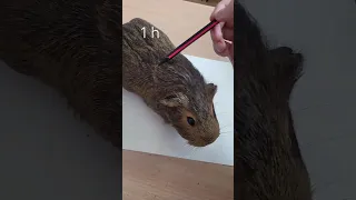 Drawing a mini version of capybara