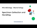 Specimen Collection and Handling Bacteriology ASCP MLS Prep